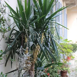 Hébergement de vacances Dimora Boezio7, Cozy And Charming Place In Center With Private Parking, Pavie